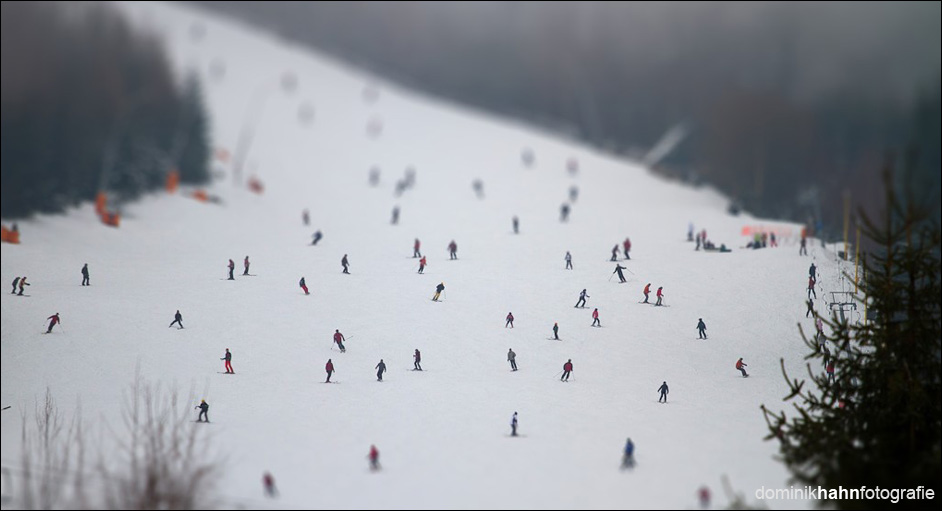 Fotografie Ski-Ameisen (Tschechien)